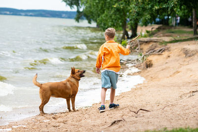 A boy in an orange shirt plays with a red dog on the seashore