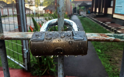 Close-up of padlock on metal fence