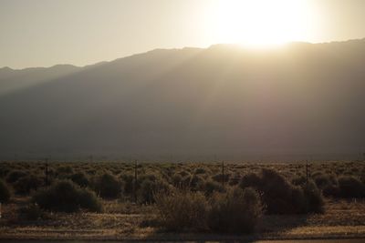 Scenic view of field against clear sky