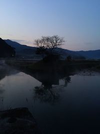 Reflection of bare trees in lake