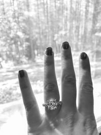 Close-up of human hand