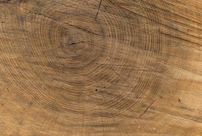 Full frame shot of empty wood