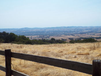 Scenic view of field against clear sky
