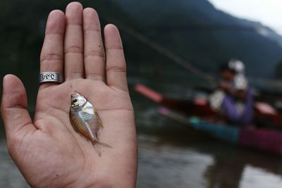 Close-up of woman hand in water