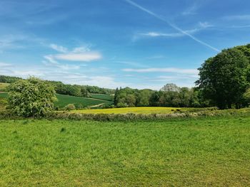 Scenic view of agricultural field against sky