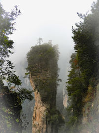 Trees on mountain against sky