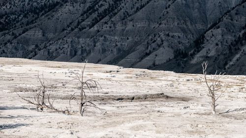 Scenic view of snow covered land