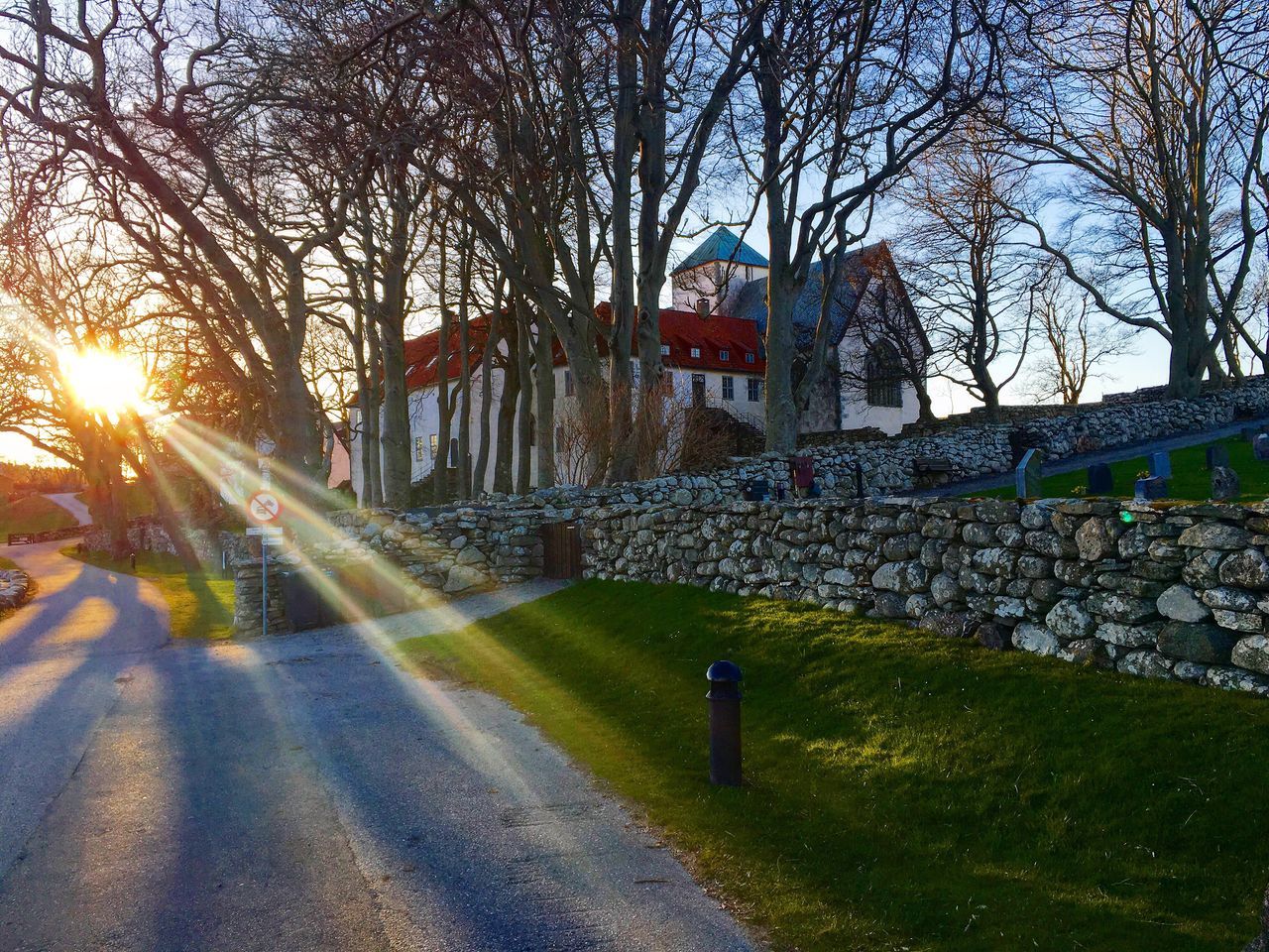 building exterior, architecture, built structure, tree, the way forward, road, street, bare tree, sunlight, transportation, footpath, city, sky, grass, sun, lens flare, park - man made space, diminishing perspective, street light, outdoors