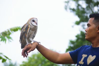 Mid adult man holding owl while standing against clear sky