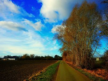 Road by trees against sky