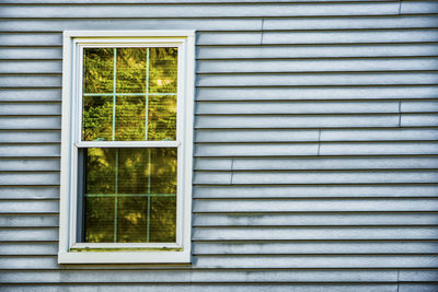 Reflection of trees on window amidst wall