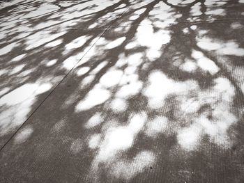 Low angle view of tree against sky