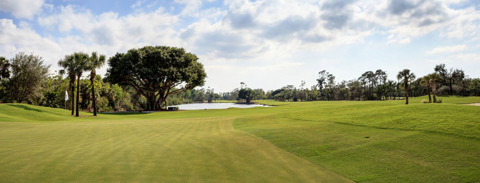 Pond and lush green grass on a golf course with trees