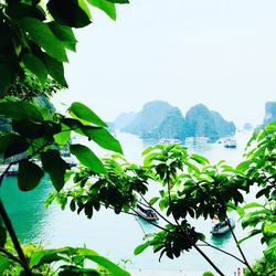 Scenic view of mountains against clear sky