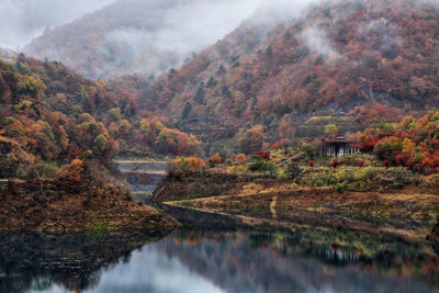 Scenic view of lake by trees during autumn