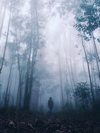 People standing in forest