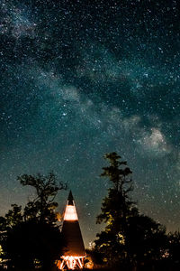Low angle view of trees against sky at night