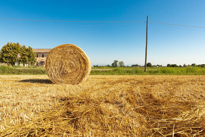 agriculture