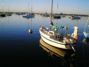 Boats in harbor