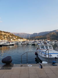 Sailboats moored at harbor against clear sky