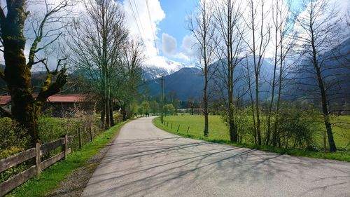 Road amidst bare trees against sky