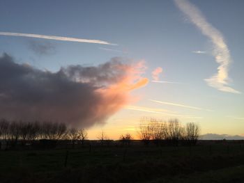 Scenic view of field against sky during sunset