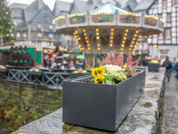 Close-up of potted plant against temple