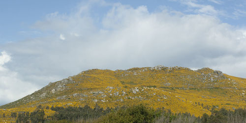 Low angle view of yellow mountain against sky