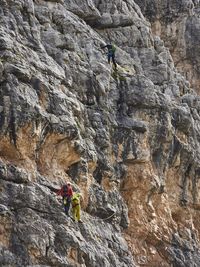 Low angle view of rock climbers in action