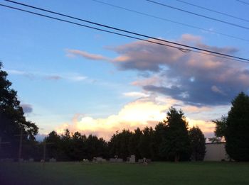 Scenic view of grassy field against sky