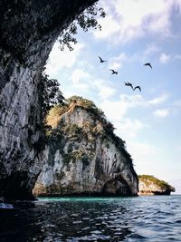 Birds flying over sea between the mountains