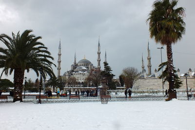 Palm trees on snow covered landscape against sky