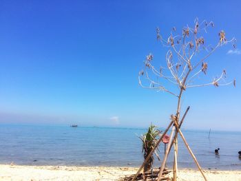 Scenic view of sandy beach against blue sky