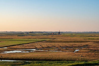 Scenic view of field against clear sky during sunset