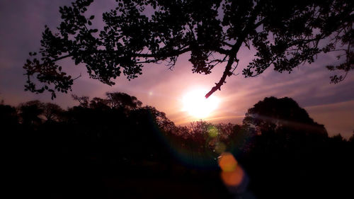 Silhouette trees against sky during sunset