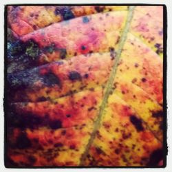 Full frame shot of multi colored wall