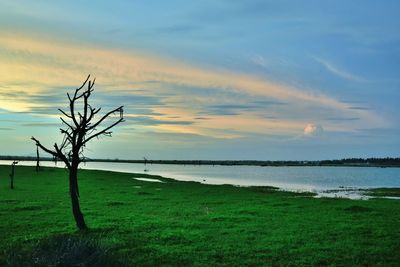 Scenic view of sea against sky during sunset