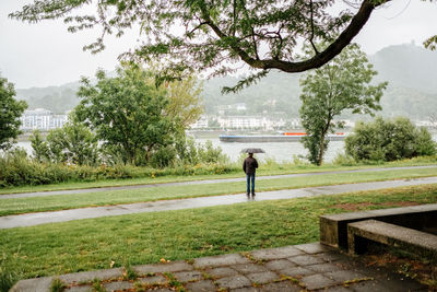 Rear view of man walking on footpath in park