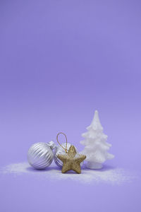 Close-up of seashell on white background