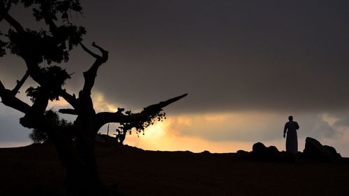 Silhouette trees against sky at sunset