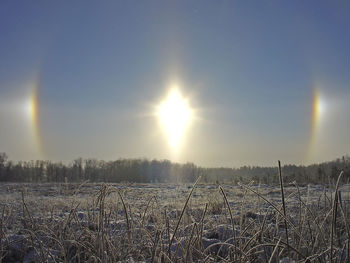 Scenic view of field against sky during sunset