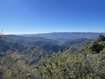 Scenic view of landscape against clear blue sky