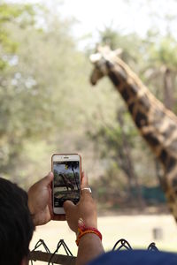 Midsection of woman using mobile phone against tree