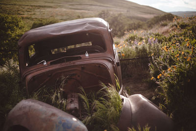 Abandoned car on field