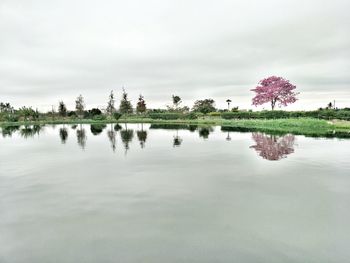 Scenic view of lake against sky