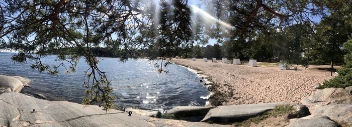 Panoramic view of lake amidst trees