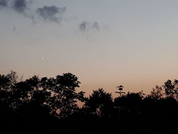 Low angle view of silhouette trees against sky during sunset