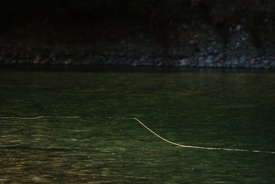 Fishing rod over lake