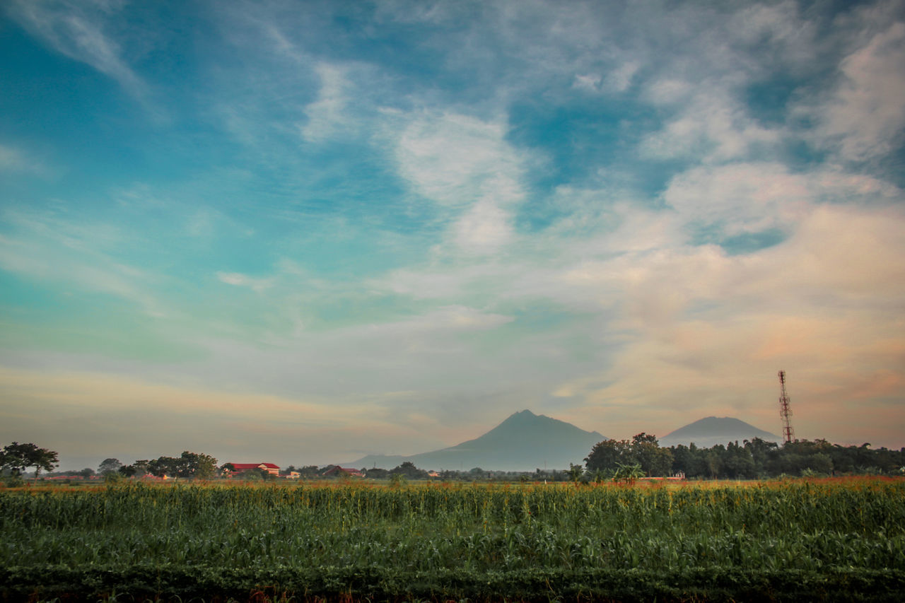 LogianBast Photography