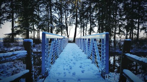 Footbridge amidst frozen trees during winter